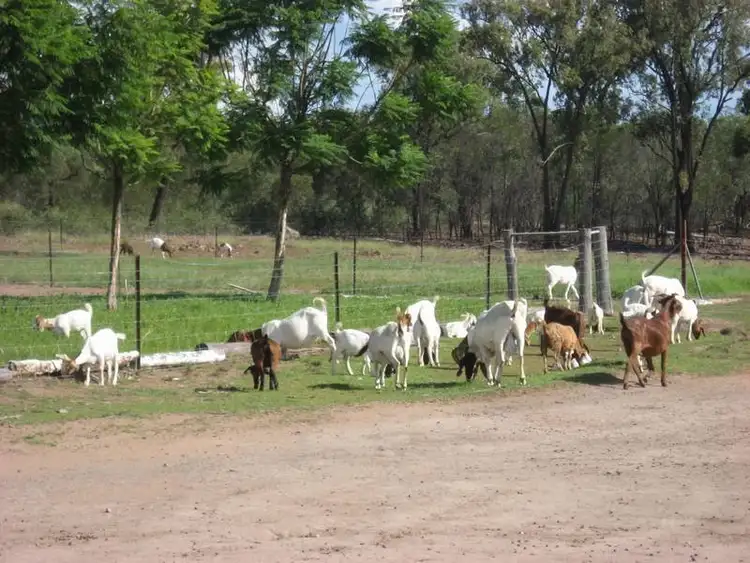 Second view of Homely rural property listing, 376 Hookswood Road, Miles QLD 4415