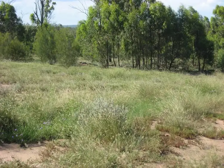 Fourth view of Homely rural property listing, 376 Hookswood Road, Miles QLD 4415