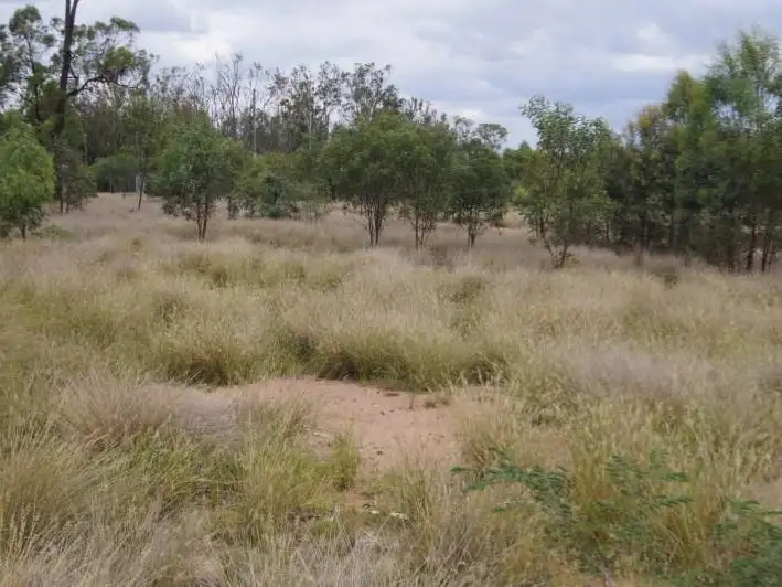 Sixth view of Homely rural property listing, 539 Engine Road, Chinchilla QLD 4413
