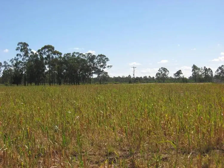 Third view of Homely rural property listing, 39367 Leighhardt Highway, Miles QLD 4415