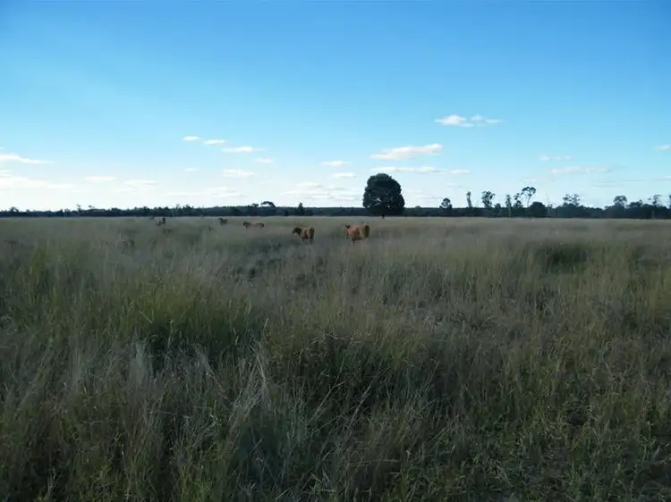 Second view of Homely rural property listing, 290 Kerwicks Road, Miles QLD 4415