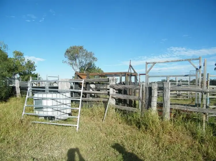 Seventh view of Homely rural property listing, 290 Kerwicks Road, Miles QLD 4415