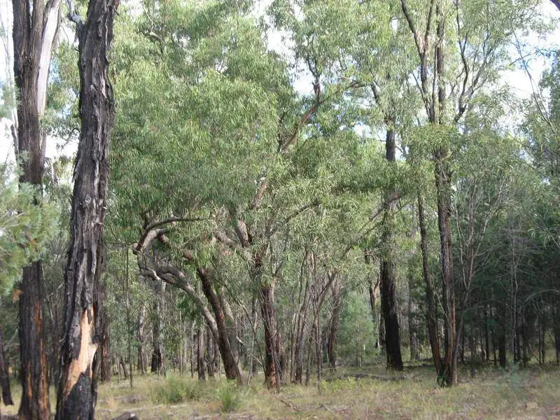 Main view of Homely rural property listing, Lot 6 Ayton Road, Miles QLD 4415