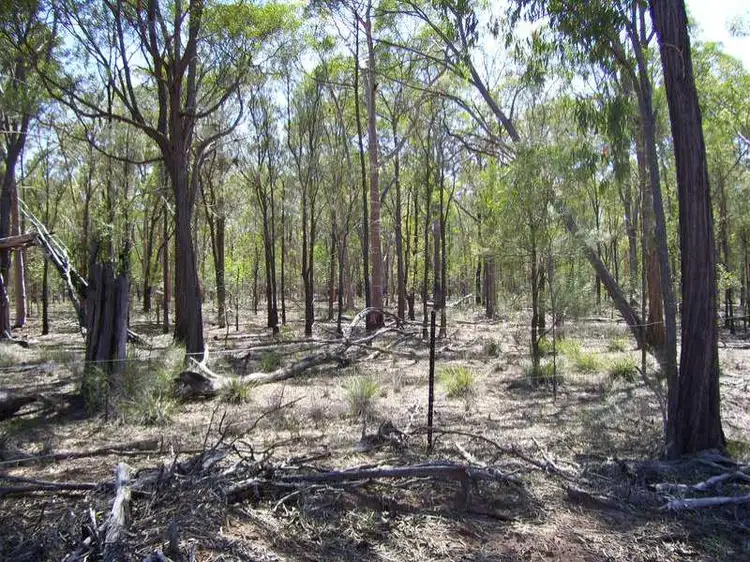 Main view of Homely rural property listing, L Tree Creek Road, Miles QLD 4415