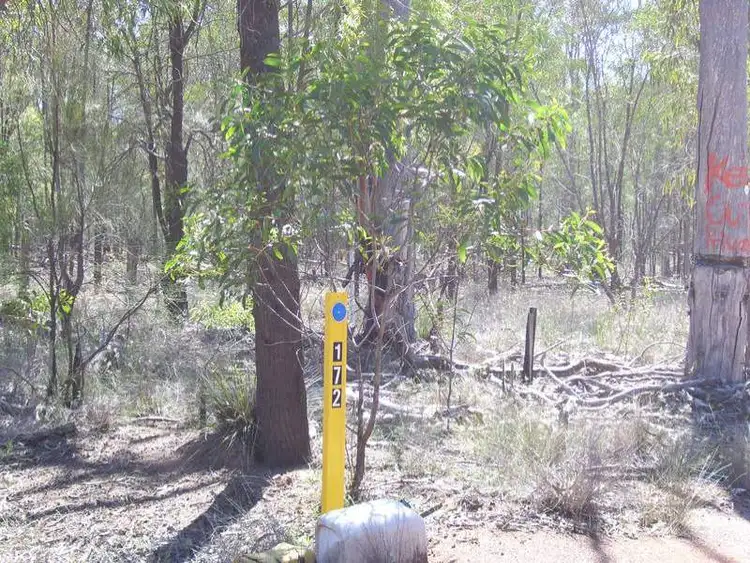 Third view of Homely rural property listing, L Tree Creek Road, Miles QLD 4415