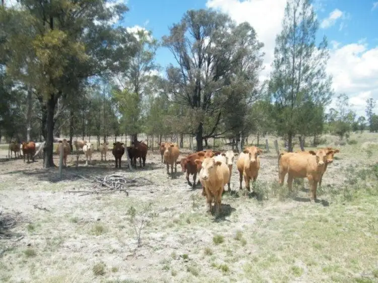 Fifth view of Homely rural property listing, 198 Cameby Road, Chinchilla QLD 4413