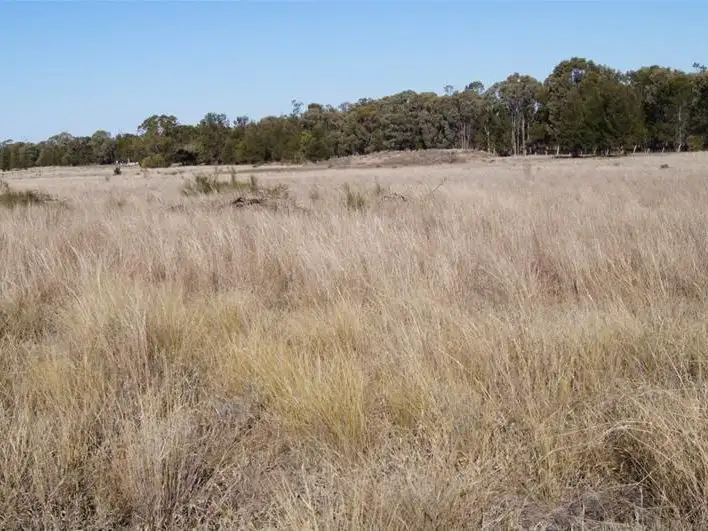 Third view of Homely rural property listing, 322 Brownlies Road, Miles QLD 4415