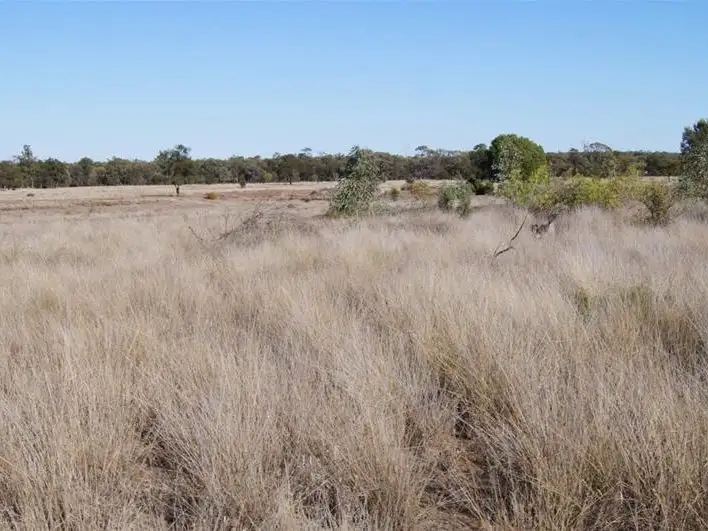 Fourth view of Homely rural property listing, 322 Brownlies Road, Miles QLD 4415