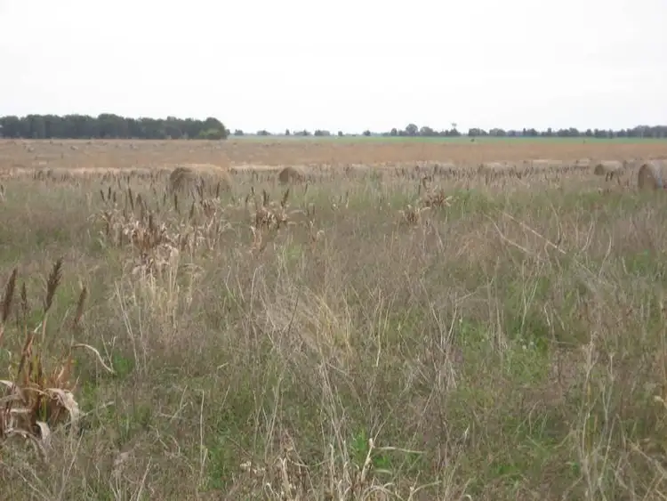 Second view of Homely land listing, LOT 1 Wolskis Road Warra, Warra QLD 4411