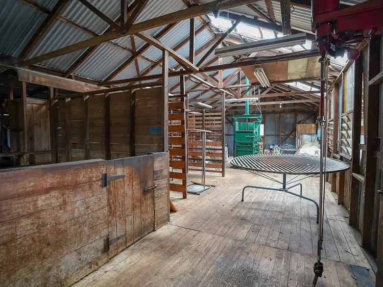 Third view of Homely rural property listing, 541 West Schultz Road, Tarrington VIC 3301