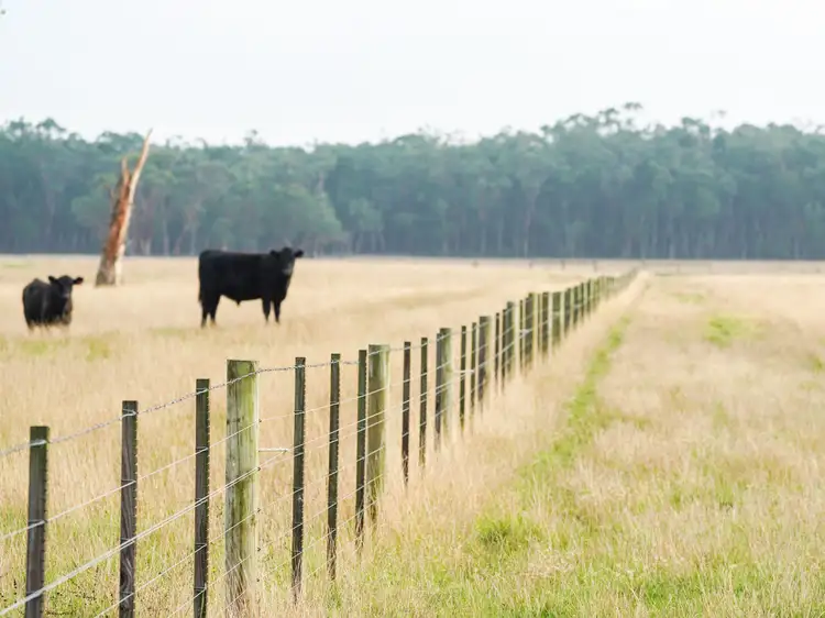Third view of Homely rural property listing, 61 Kennys Lane, Gorae West VIC 3305