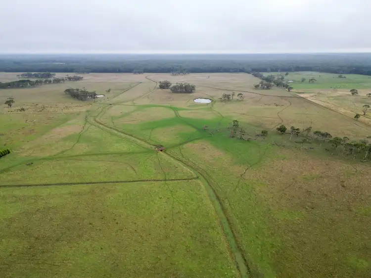 Fifth view of Homely rural property listing, 61 Kennys Lane, Gorae West VIC 3305