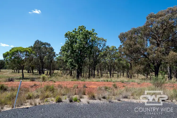 Third view of Homely land listing, 20 Marshall Way, Emmaville NSW 2371