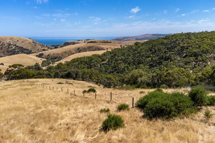 Second view of Homely rural property listing, Lot 11 Crawford Lane, Normanville SA 5204