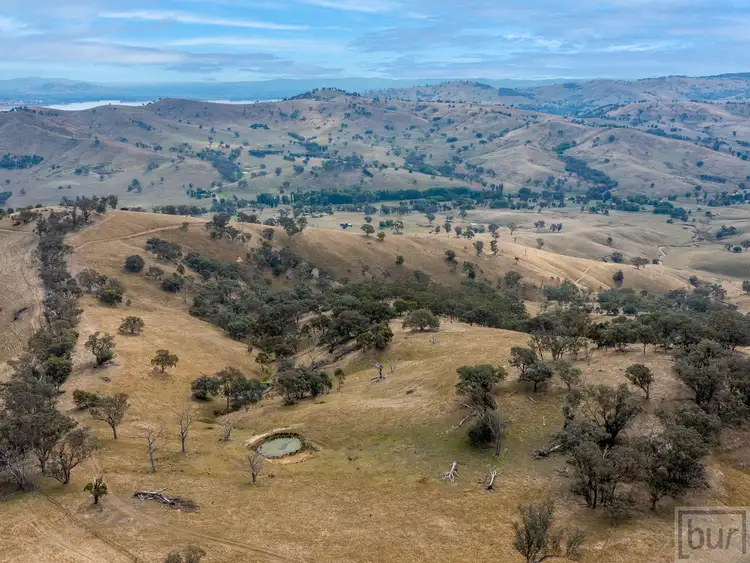 Fourth view of Homely rural property listing, LOT L1-2, 2 Springdale Road, Bethanga VIC 3691