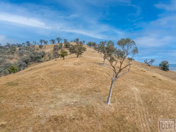 Fifth view of Homely rural property listing, LOT L1-2, 2 Springdale Road, Bethanga VIC 3691