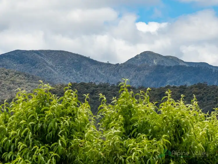 Third view of Homely land listing, 31 Valley Avenue, Mount Beauty VIC 3699