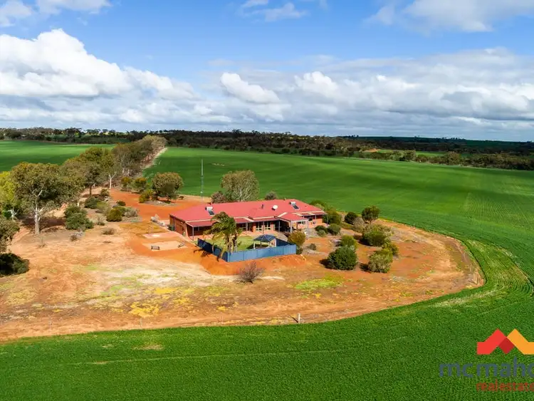 Fifth view of Homely rural property listing, 388 Hulongine Road, Hulongine WA 6460