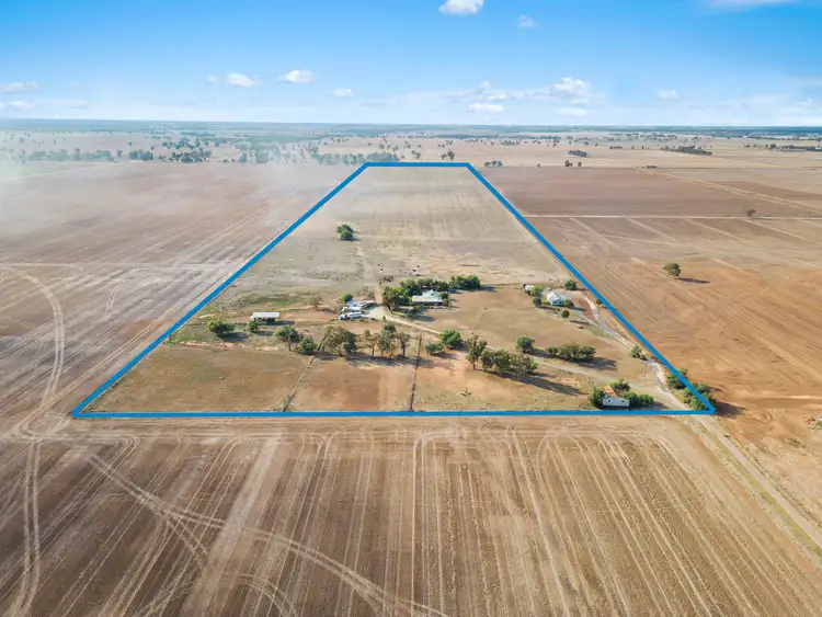 1000 Barnes Road, Finley NSW 2713