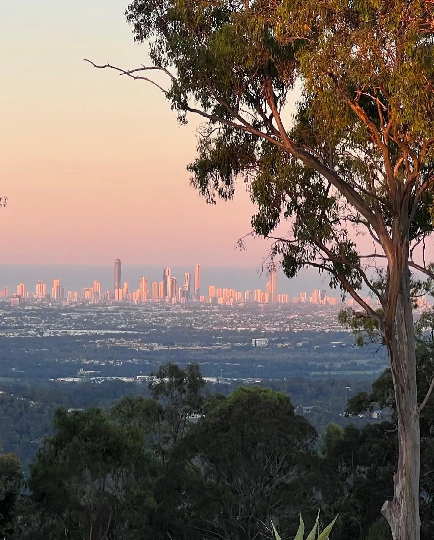 Main view of Homely land listing, 495 The Panorama, Tallai QLD 4213