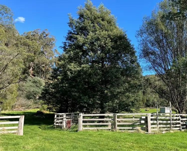 Seventh view of Homely rural property listing, 263 Willis Road, Carrajung VIC 3844