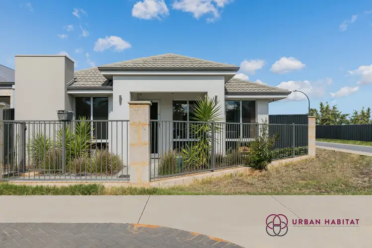 Main view of Homely house listing, 54 Jamison Grove, Wellard WA 6170