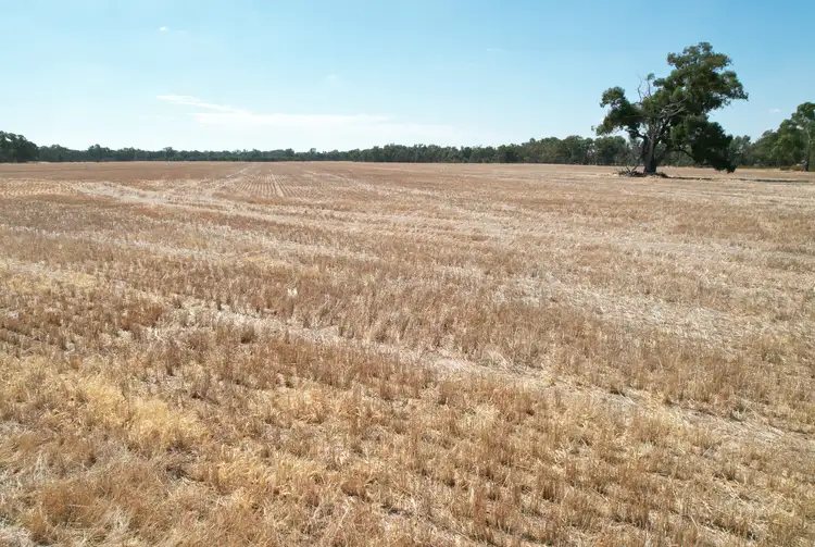 Fifth view of Homely rural property listing, Kurting-Powlett Road, Powlett Plains VIC 3517