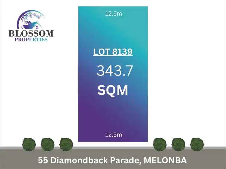 55 Diamoond Parade, Melonba NSW 2765