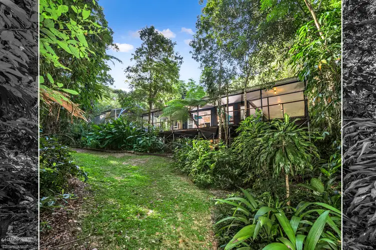 Main view of Homely house listing, 104 Green Forest Road, Kuranda QLD 4881
