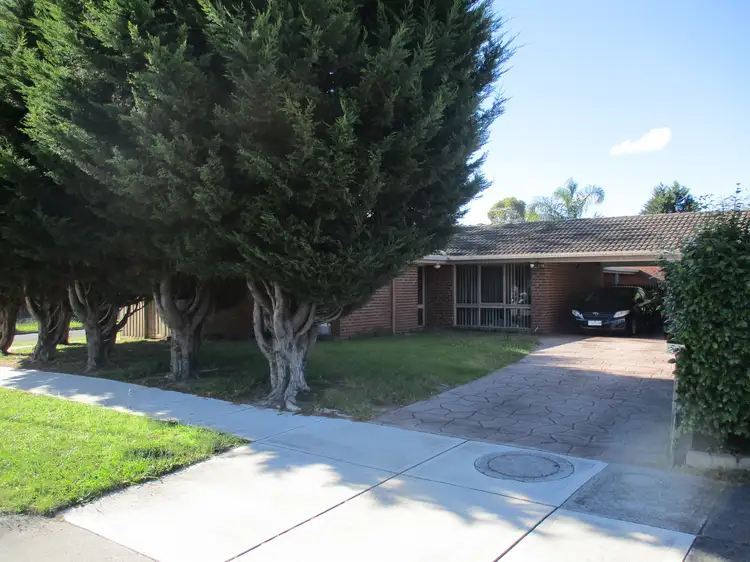53 David Collins Drive