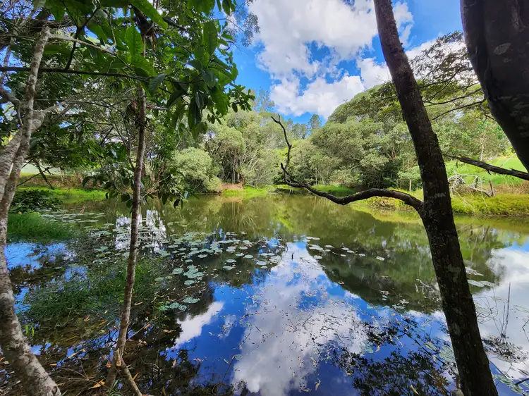 73 McLeish Road, Lake Eacham QLD 4884