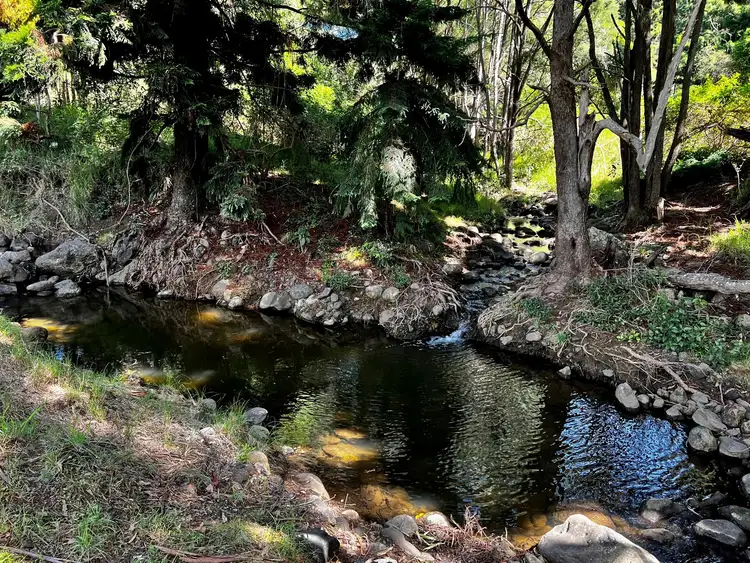 Second view of Homely rural property listing, Lot 2 Chinghee Creek Road, Chinghee Creek QLD 4285