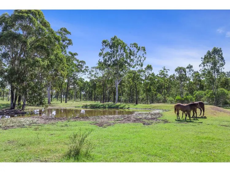 Main view of Homely house listing, 168 Mulara Road, Bondoola QLD 4703