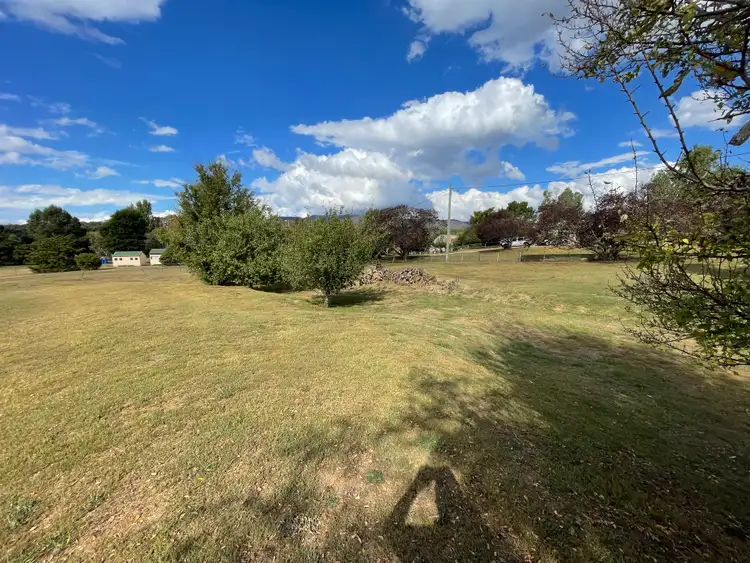 Fifth view of Homely land listing, LOT 11 Umeralla Street, Numeralla NSW 2630