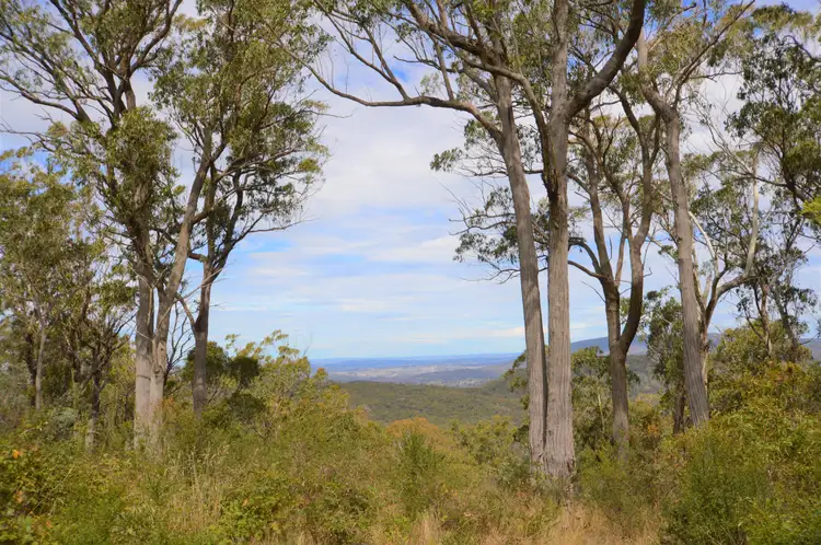 Main view of Homely rural property listing, 250 Thunderbolts Cave Road, Black Mountain NSW 2365