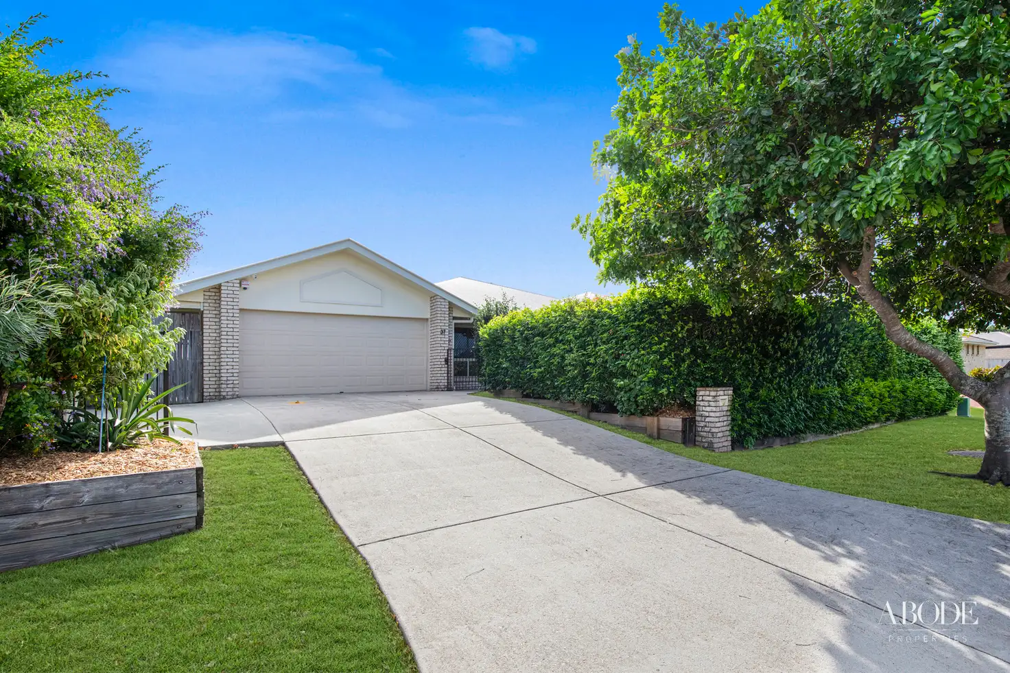 Main view of Homely house listing, 37 Allister Crescent, Rothwell QLD 4022