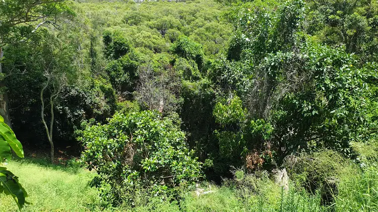Fourth view of Homely land listing, LOT 13 Government Road, South West Rocks NSW 2431
