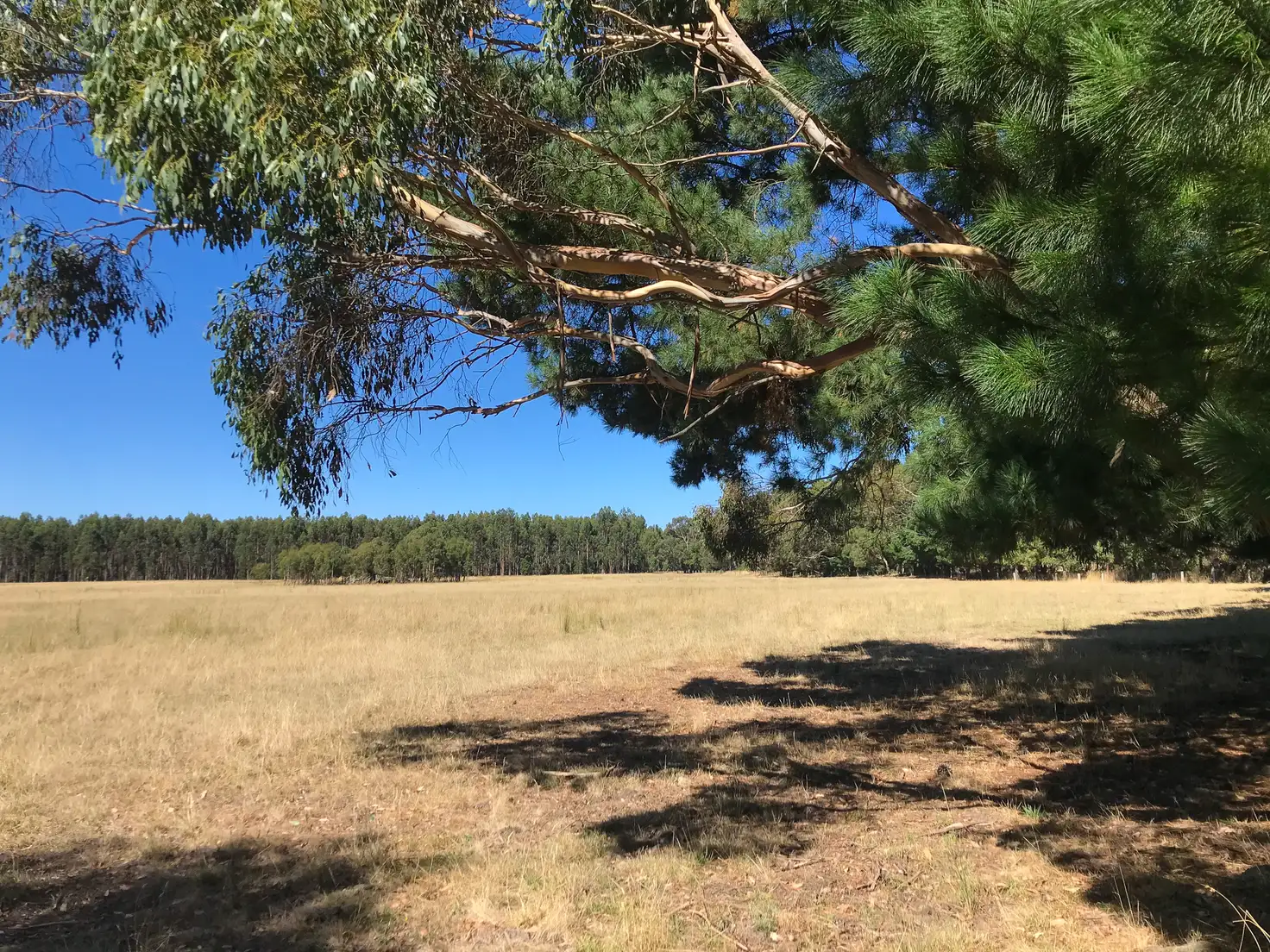 Main view of Homely land listing, 179 Coalmine Road, Lal Lal VIC 3352