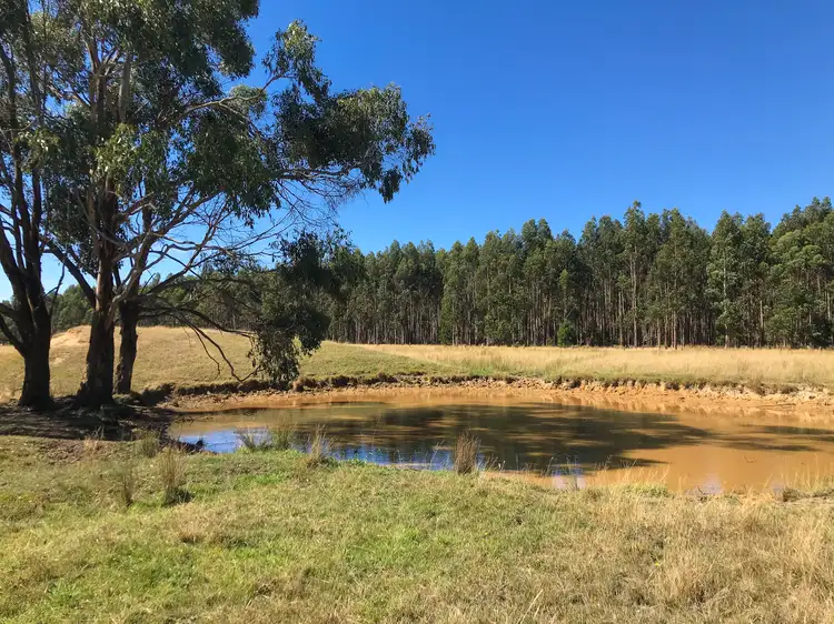 Third view of Homely land listing, 179 Coalmine Road, Lal Lal VIC 3352