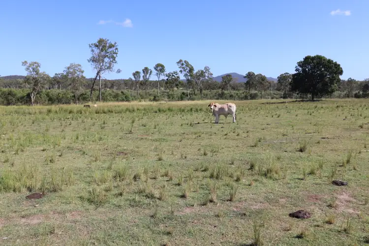 Fourth view of Homely rural property listing, 232 Top Waterloo Road, Yandaran QLD 4673