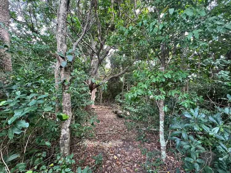 Second view of Homely land listing, 4 Hogg Street, Cooktown QLD 4895