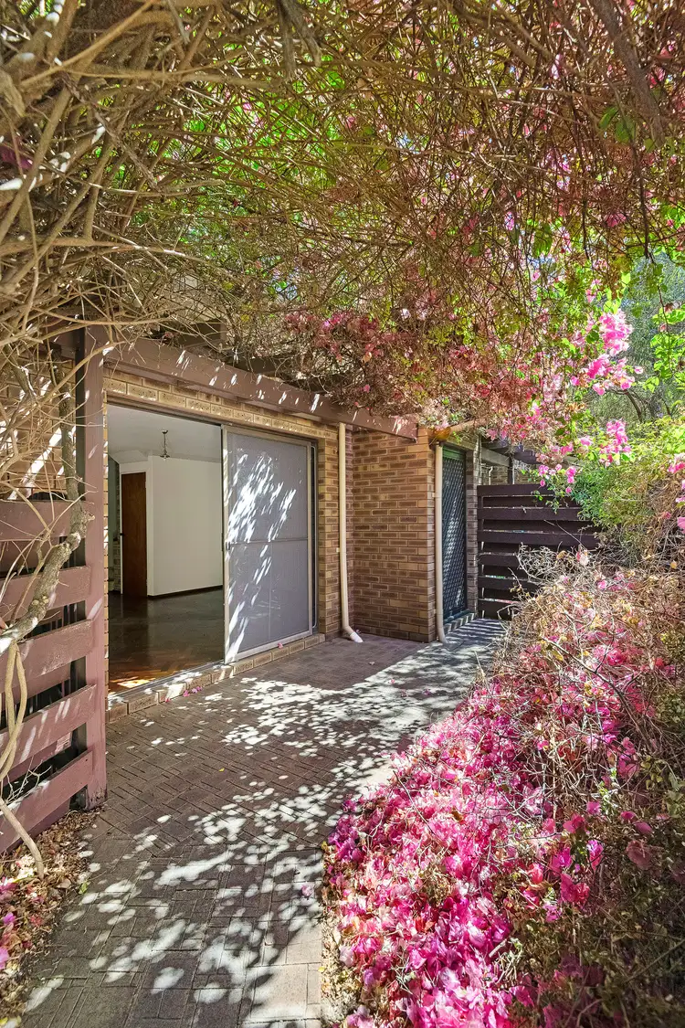 Main view of Homely townhouse listing, 12/16-18 Queens Crescent, Mount Lawley WA 6050