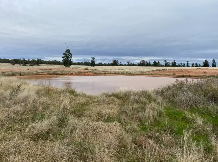 Second view of Homely rural property listing, 538 Davies Lane, West Wyalong NSW 2671