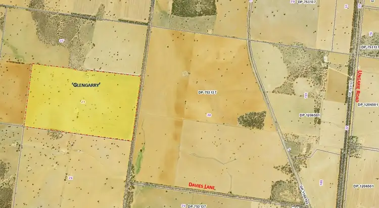 Third view of Homely rural property listing, 538 Davies Lane, West Wyalong NSW 2671
