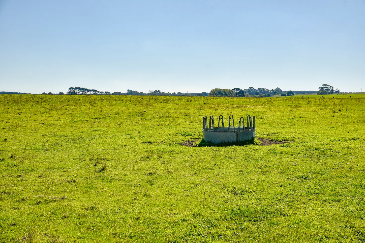 Main view of Homely rural property listing, LOT 91 Riddoch Highway, Mingbool SA 5291