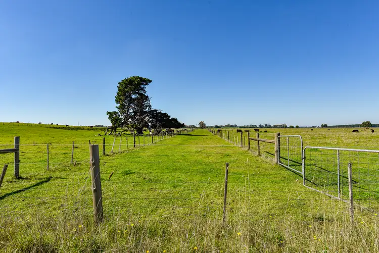 Fifth view of Homely rural property listing, LOT 91 Riddoch Highway, Mingbool SA 5291