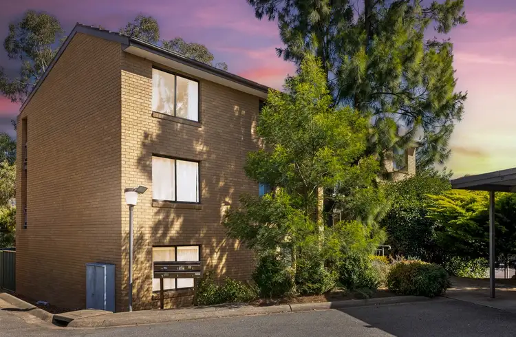 23/10 Wilkins Street, Mawson ACT 2607