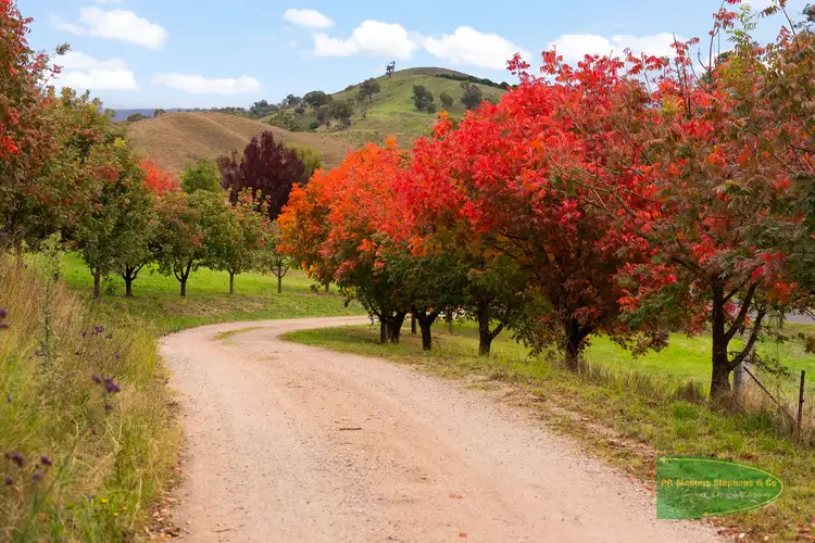 Main view of Homely rural property listing, 1451 Ganbenang Road, Ganbenang NSW 2790