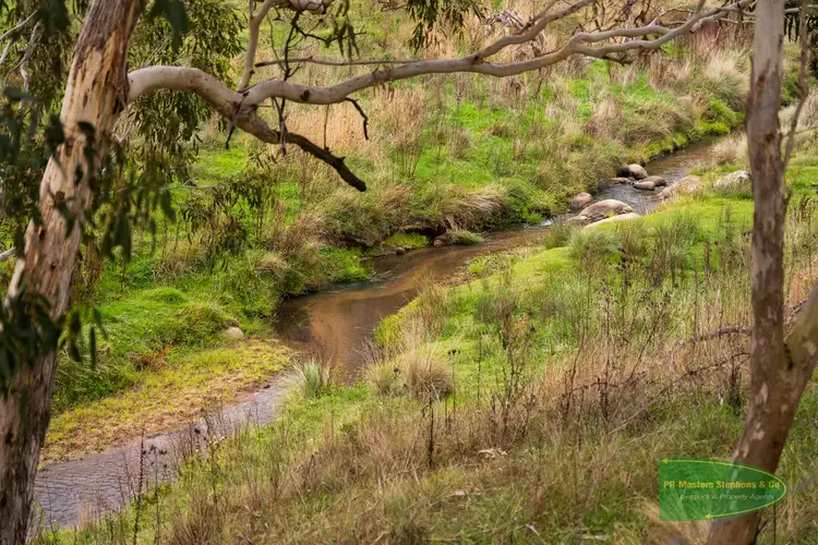 Fifth view of Homely rural property listing, 1451 Ganbenang Road, Ganbenang NSW 2790