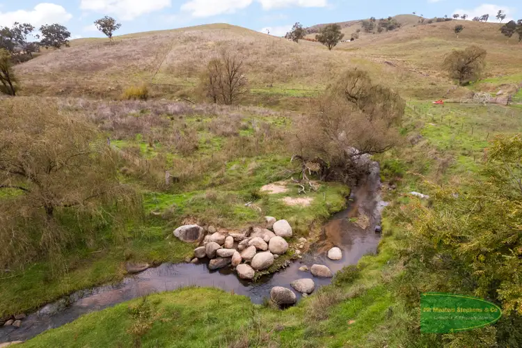 Sixth view of Homely rural property listing, 1451 Ganbenang Road, Ganbenang NSW 2790